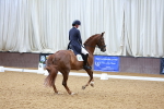SBM_001147
