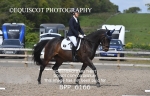 BPP_6166