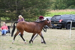 WJ6_6178