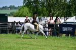 SBM_13873