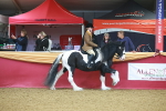 SBM_09626