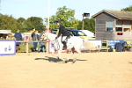 SBM_14971