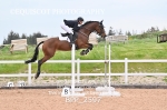 BPP_2597