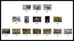 Presentation-layout_3_5_7_digital