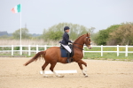SBM_007233