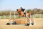 SBM_000594