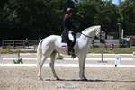 163-UVERA_Z-Harry_Meade-WEDTrotUp+DR portfolio