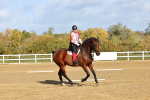 SBM_002095