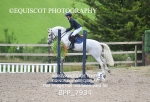 BPP_7934