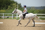 SBM_009582