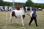 WJ6_5329