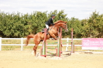 SBM_006528