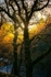 Sunset-on-the-river