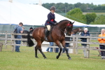 SBM_15981