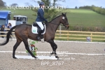 BPP_8767