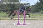 BPP_5276