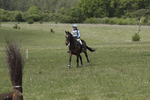 BVHT 140517  IXC -564