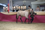 SBM_06618