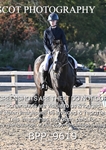 BPP_9619