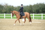 LAD_3700_Novice Test 2