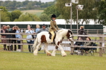 SBM_06195