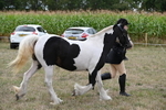 WJ6_5728
