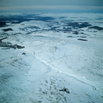 A00481A Glen Girnaig by Dunkeld in 2004