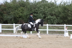 SBM_002198