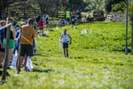 The Finish-1552