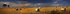 Hay Bale-Panorama-1