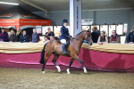SBM_15881