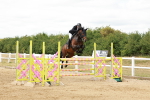 SBM_019046