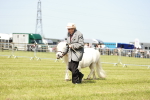 SBM_01988