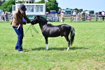 SBM_03680