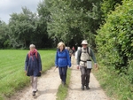 069  Leaving Fox Heads Wood onto High Lane