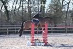 7TH MARCH 2026 - Senior British Show Jumping Cat 1 - MUIRMILL EC portfolio