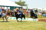 SBM_16910