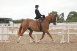 SBM_06318