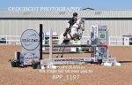 BPP_1197