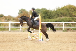 SBM_007727