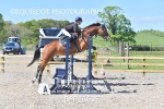 BPP_6637