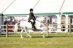 SBM_19237