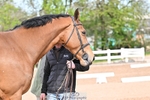 Trot Up portfolio