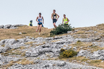 Hutton Roof-1