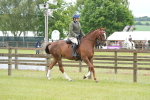 SBM_12832