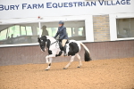 SBM_002648