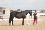 SBM_04909