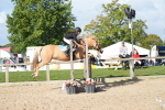 SBM_15649