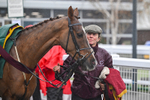 141125-Race 1-Norman Fletcher-8805