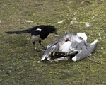 20110521-IMG_5373